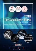 Temel Ultrasonografi Kursu İstanbul